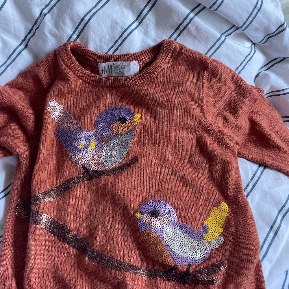 Sequin h&m bird sweater